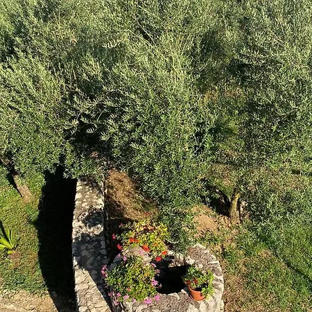 Apartment La Selva Sonnino