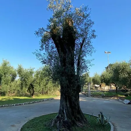 La Selva Apartman *